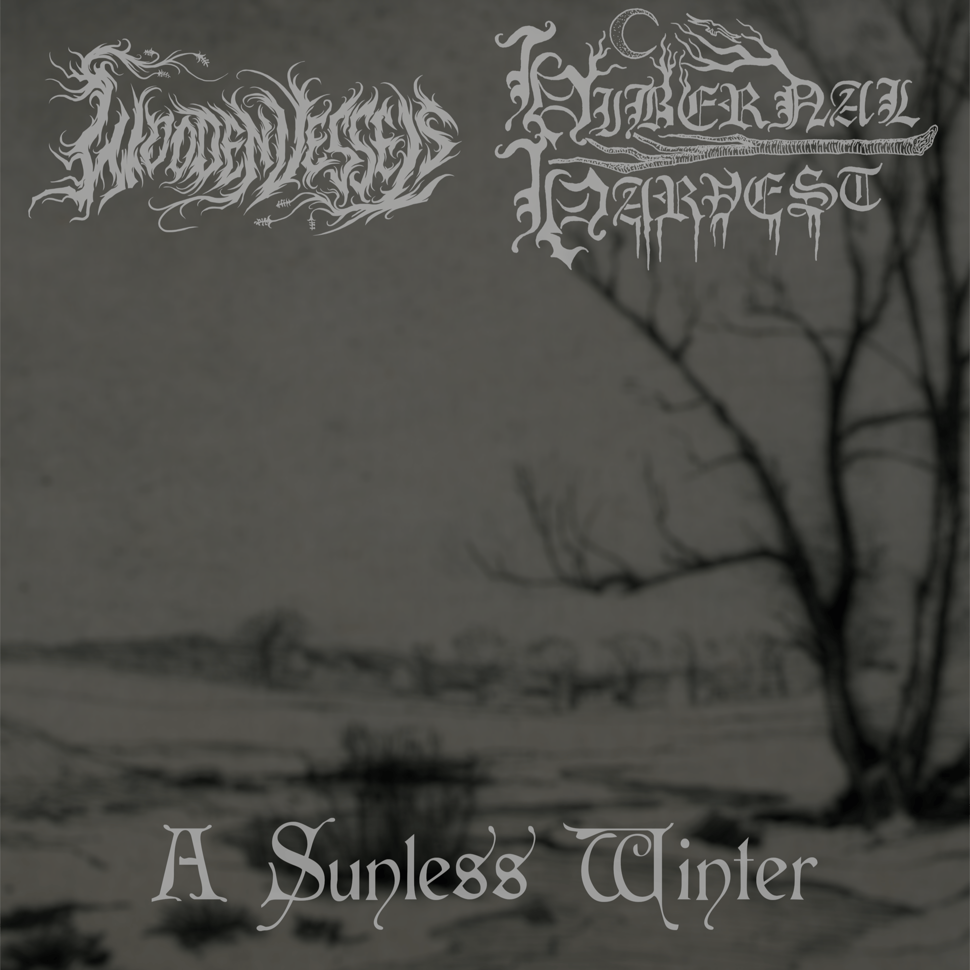 A Sunless Winter (Split with Hibernal Harvest)
