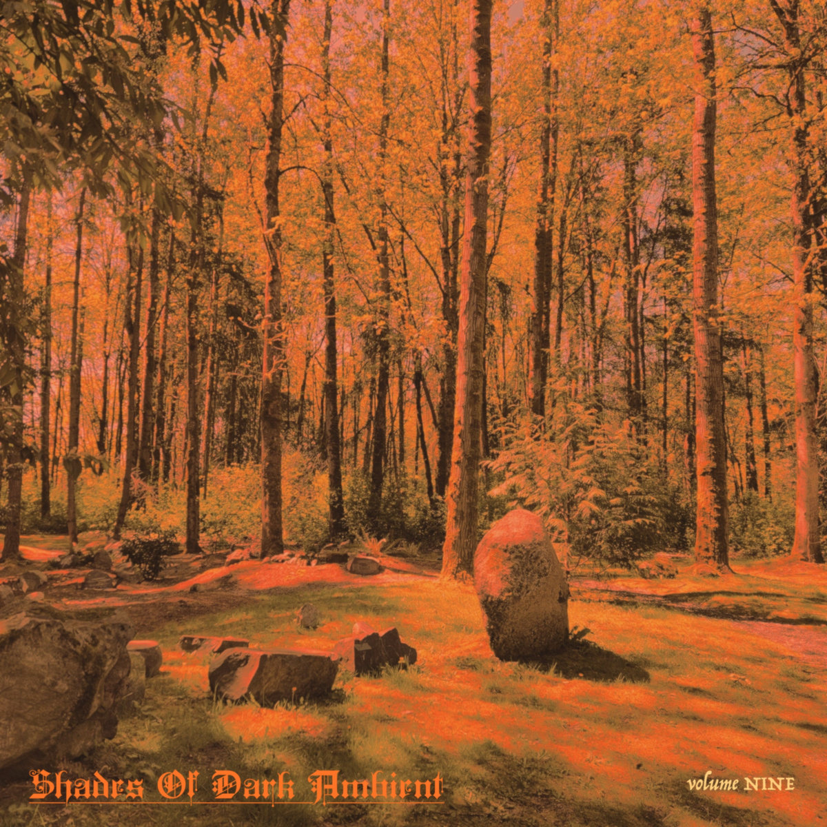 Shades Of Dark Ambient, Volume Nine