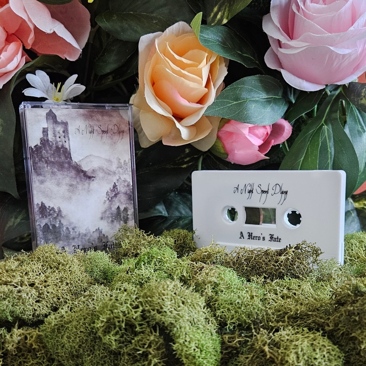 A Night Spent Dying / Calamus split Cassette