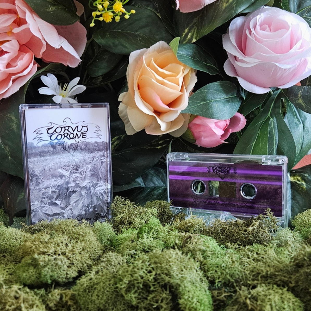 Corvus Corone - Buried in the Autumn Shade