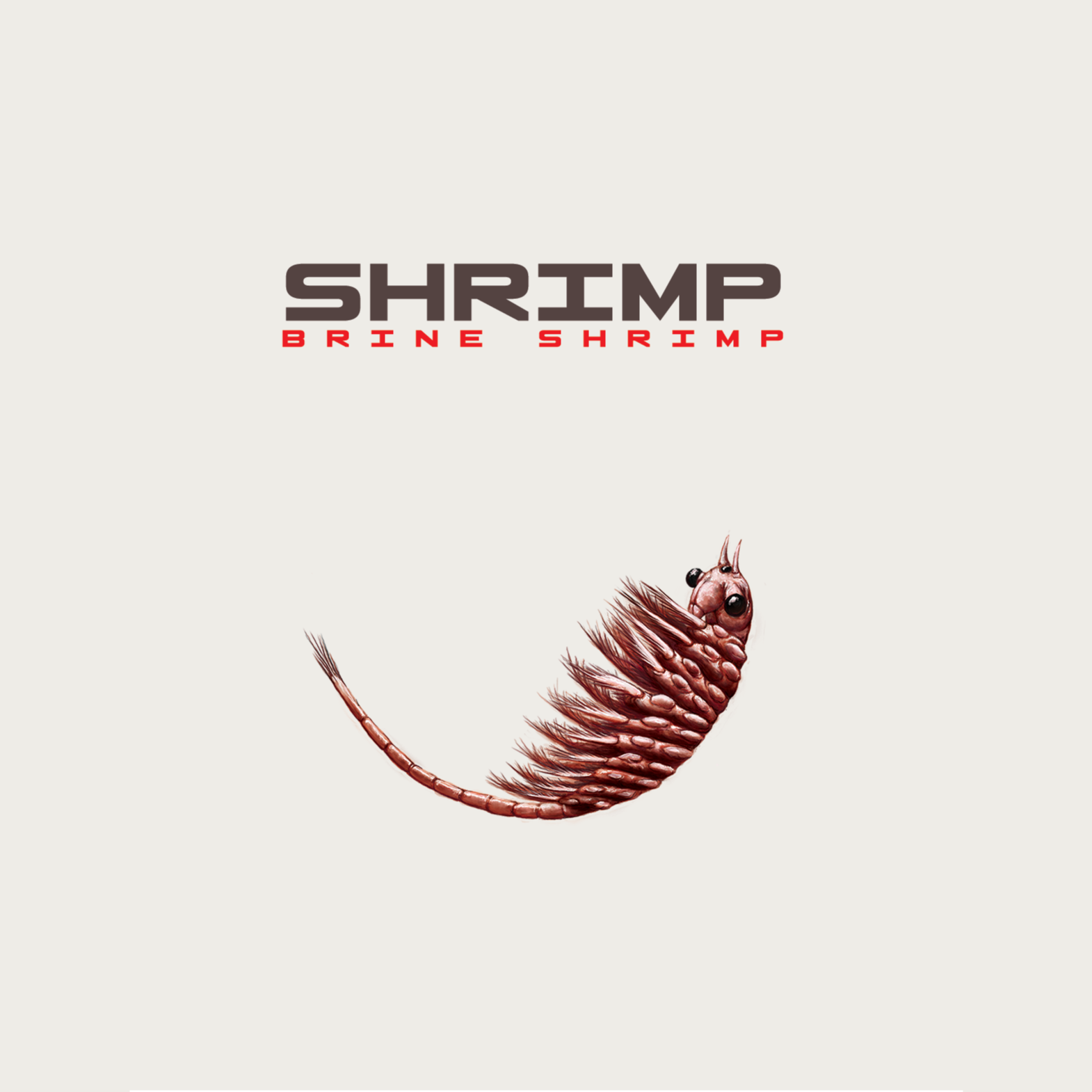 Brine Shrimp