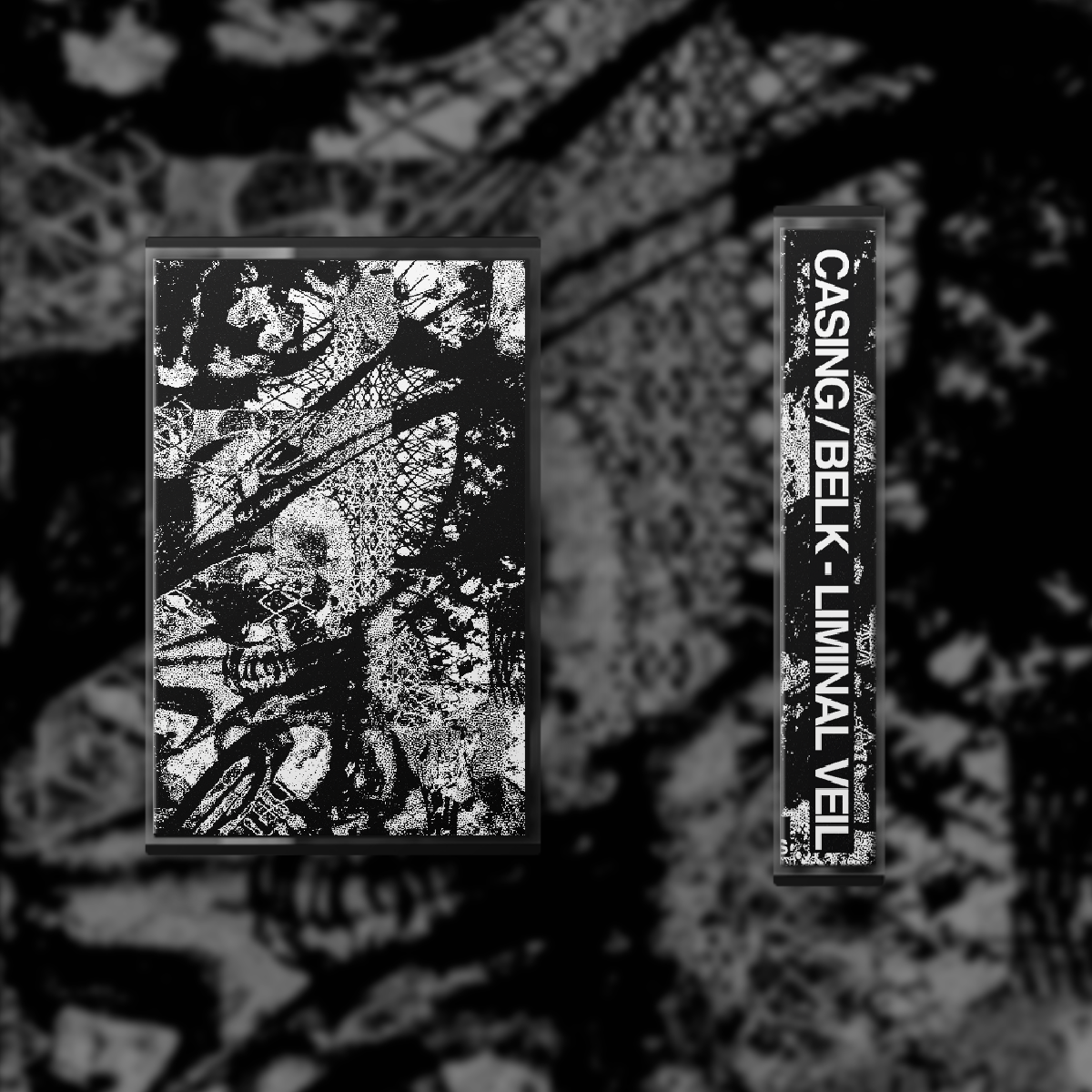 Liminal Veil cassette