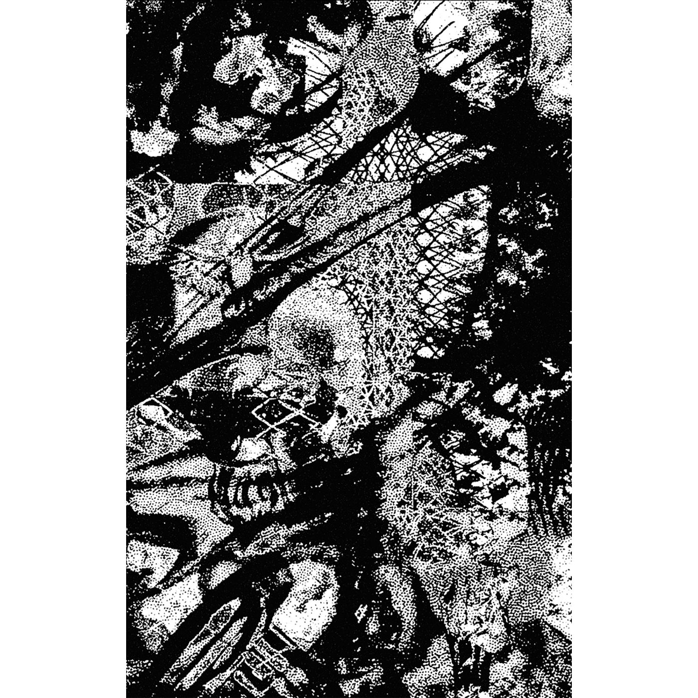 Liminal Veil