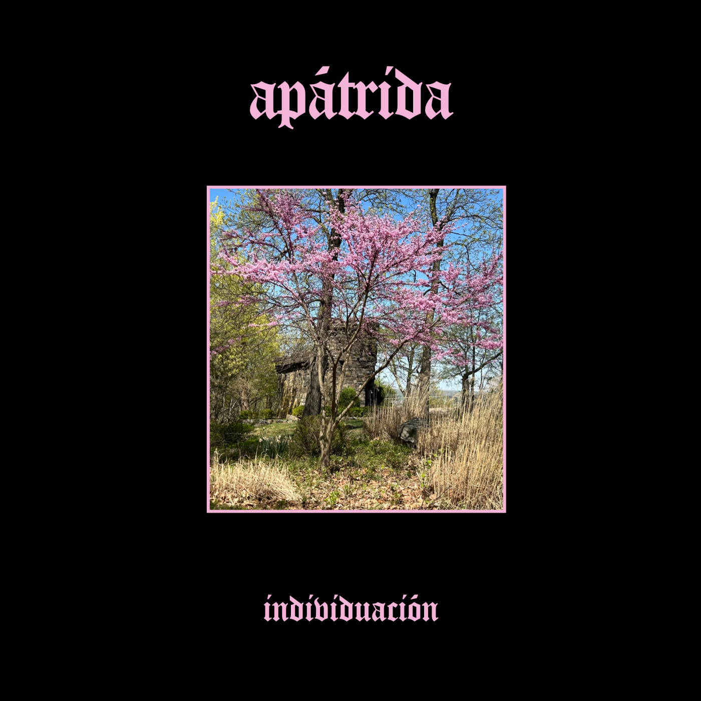 individuación