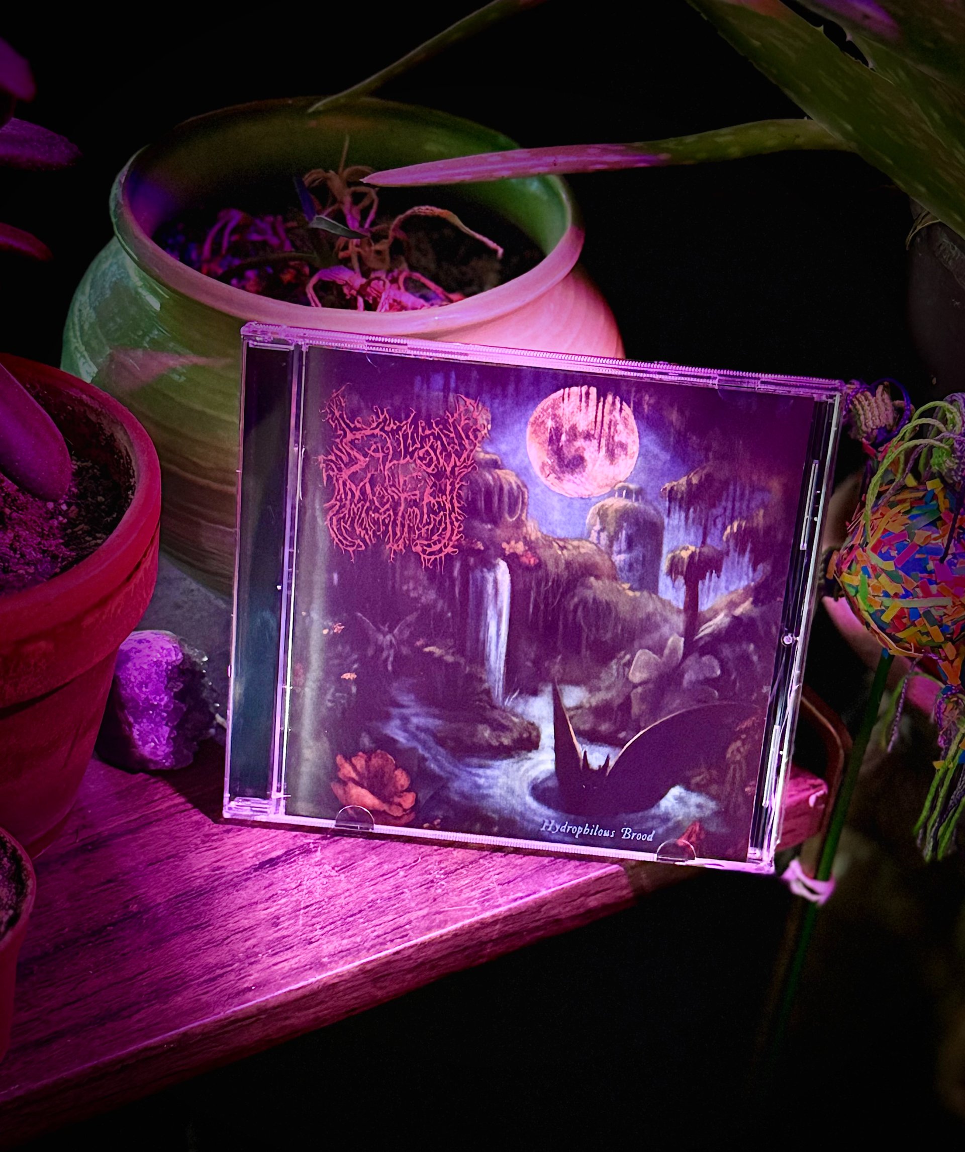 Hydrophilous Brood CD