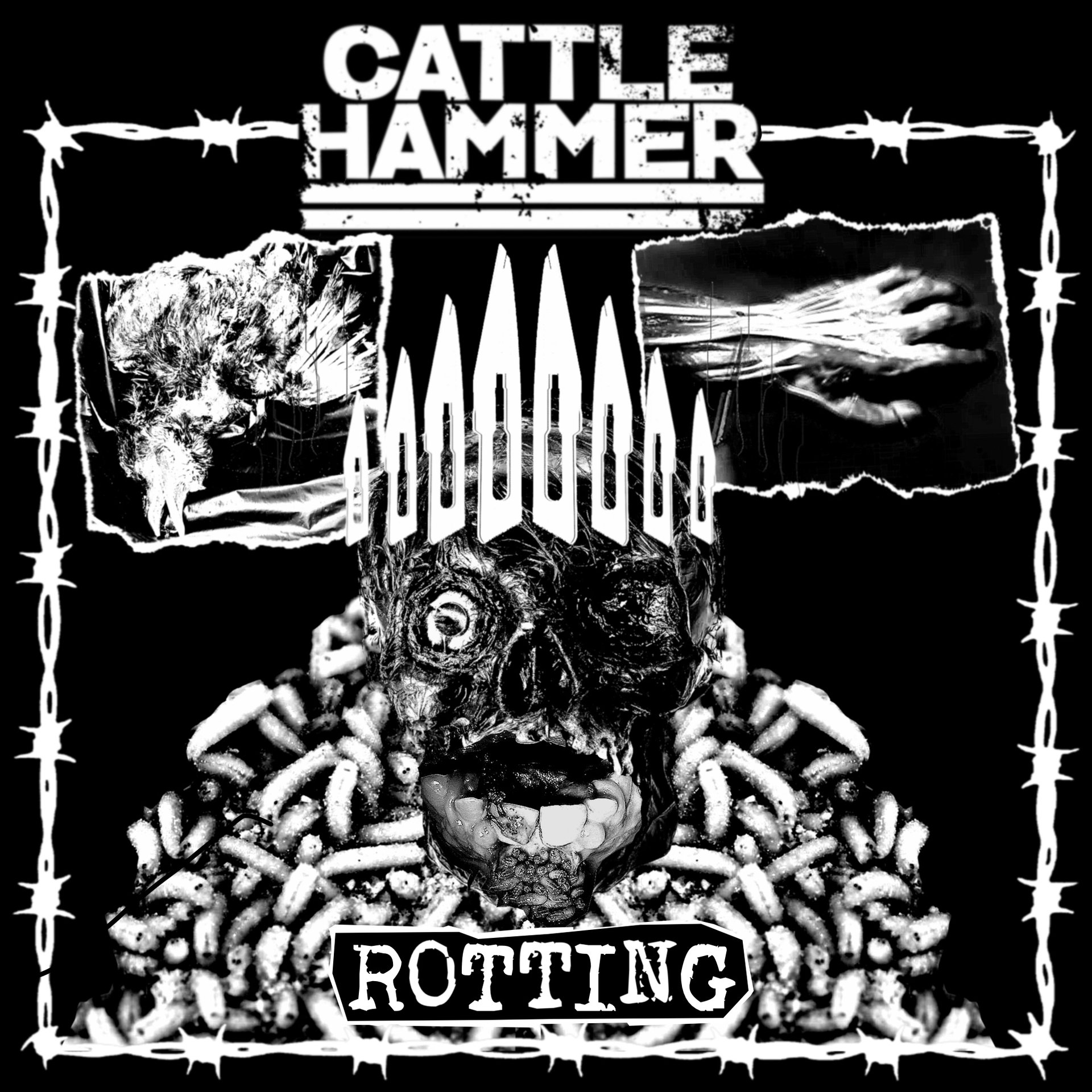 Rotting