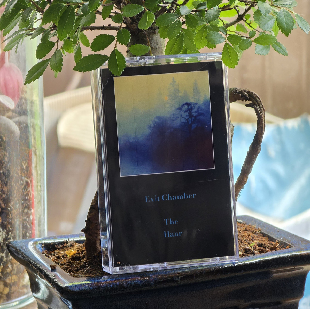 The Haar - Limited Edition Misty Green Cassette