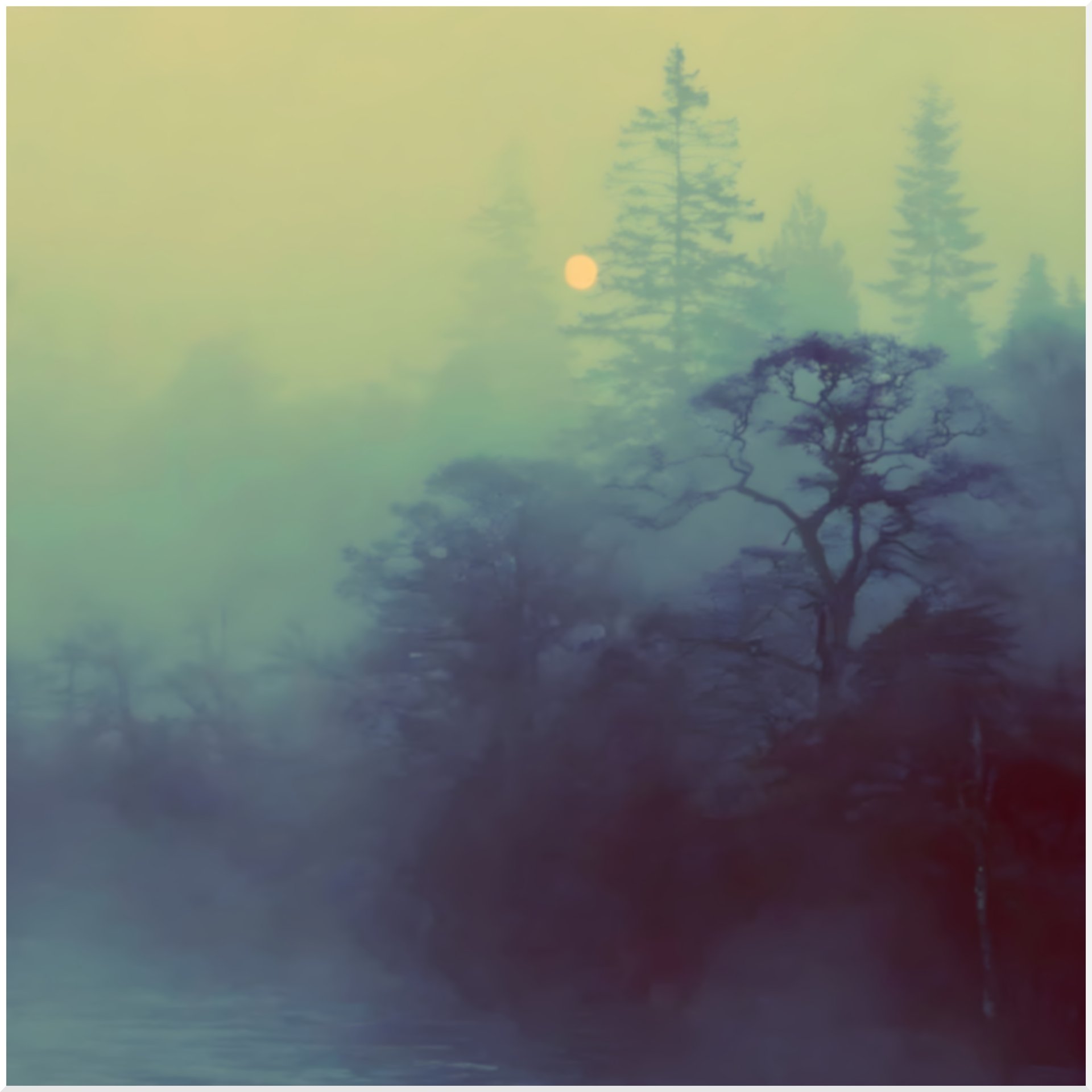 The Haar
