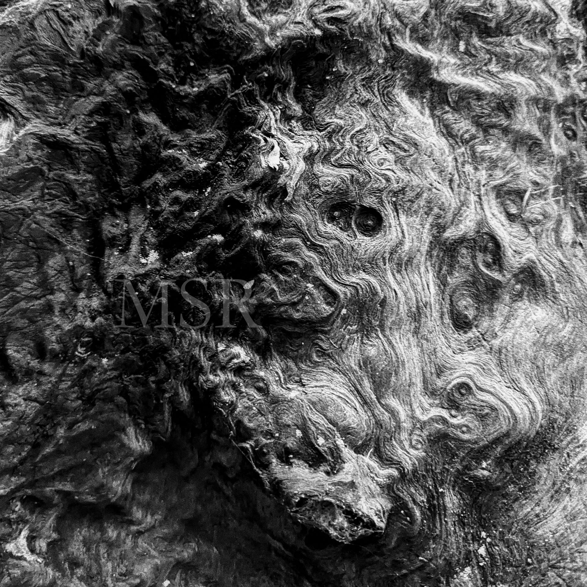 Not Forever: Brain Fog Intonations III