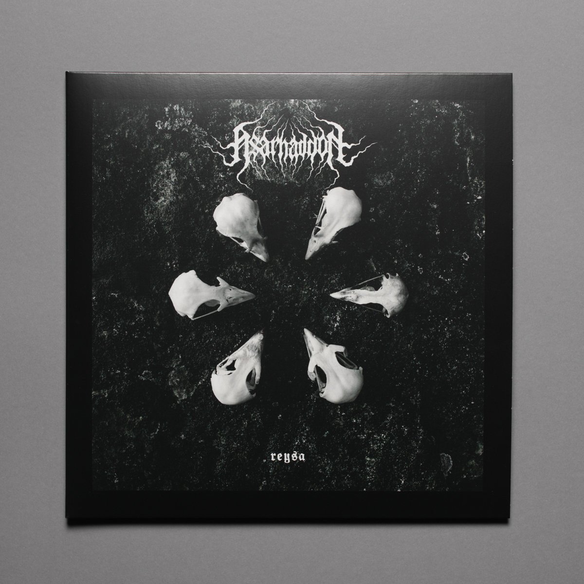 Reysa 12" Black Vinyl Record