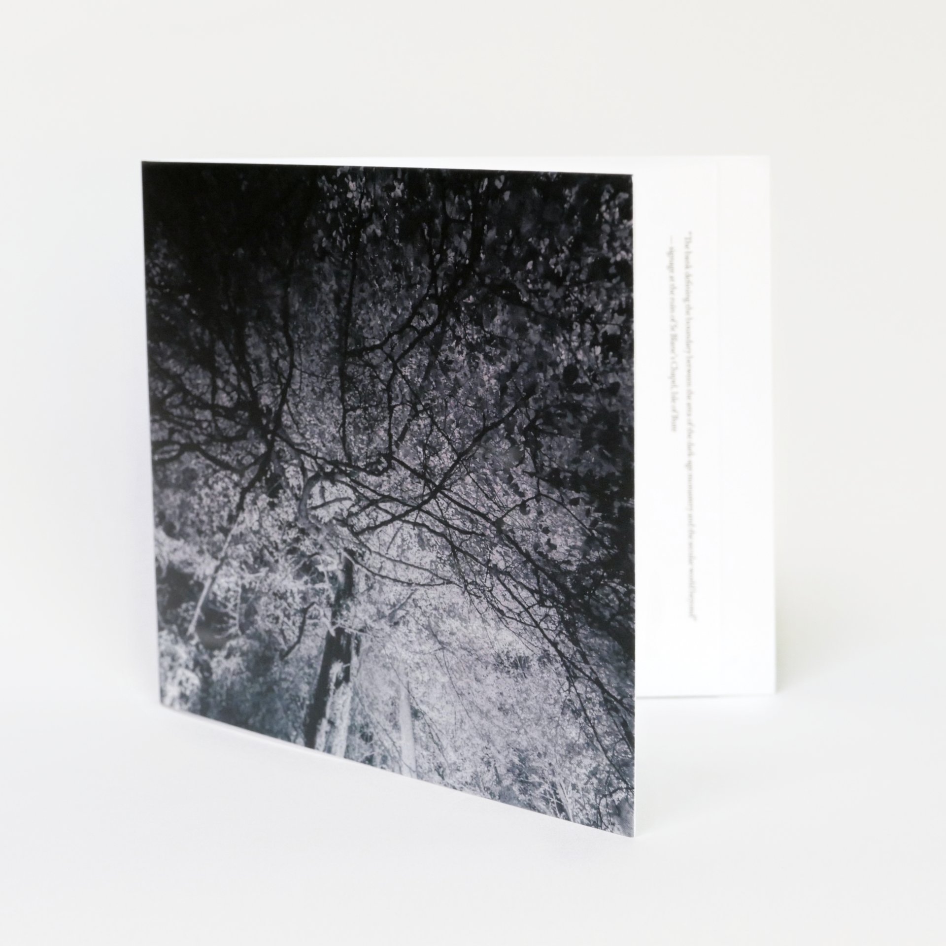 The Vallum Limited Edition CD