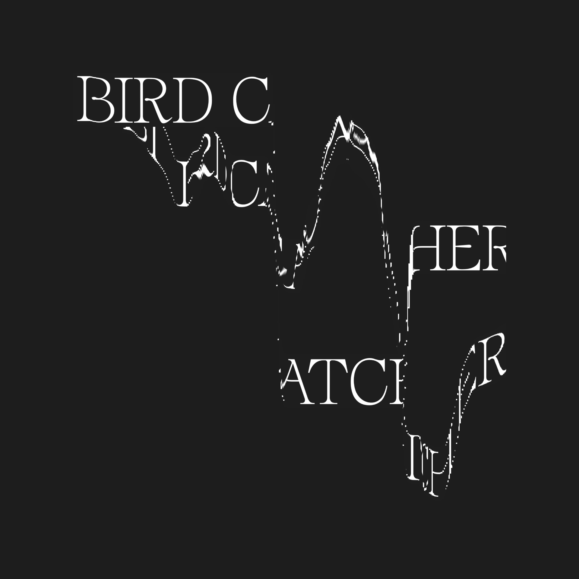 Bird Catcher EP
