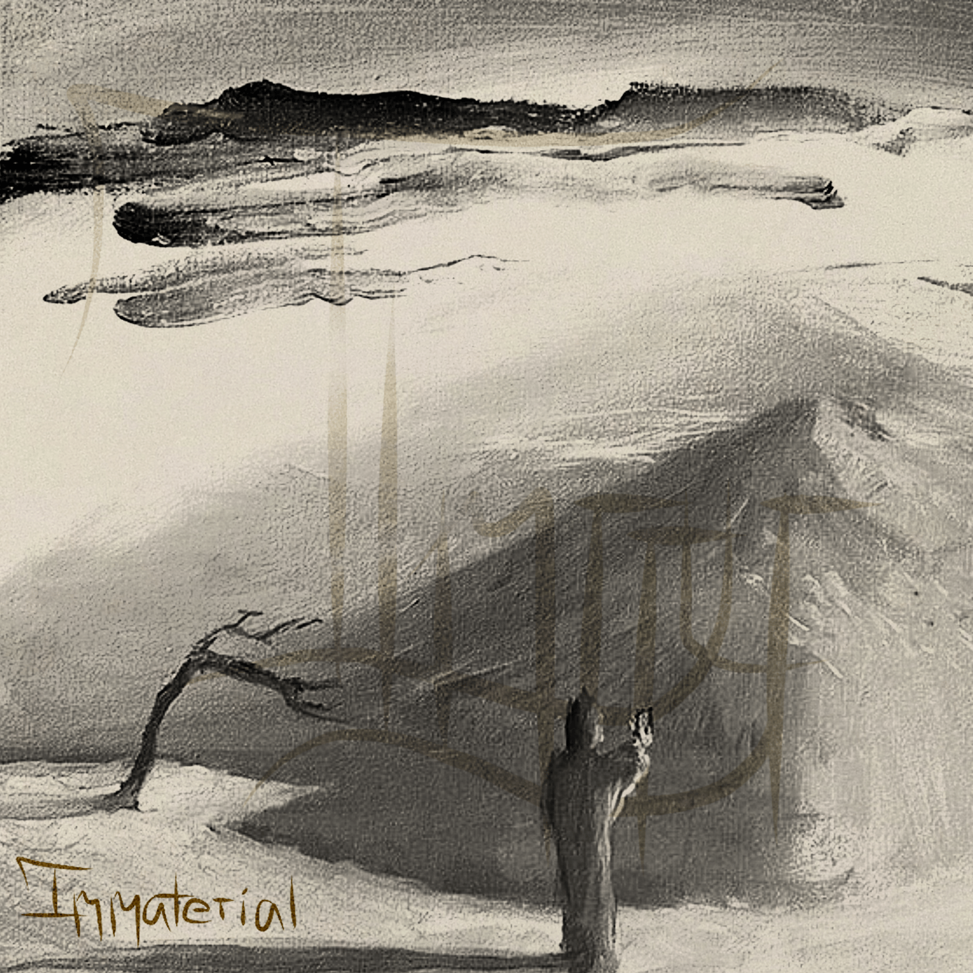 Immaterial
