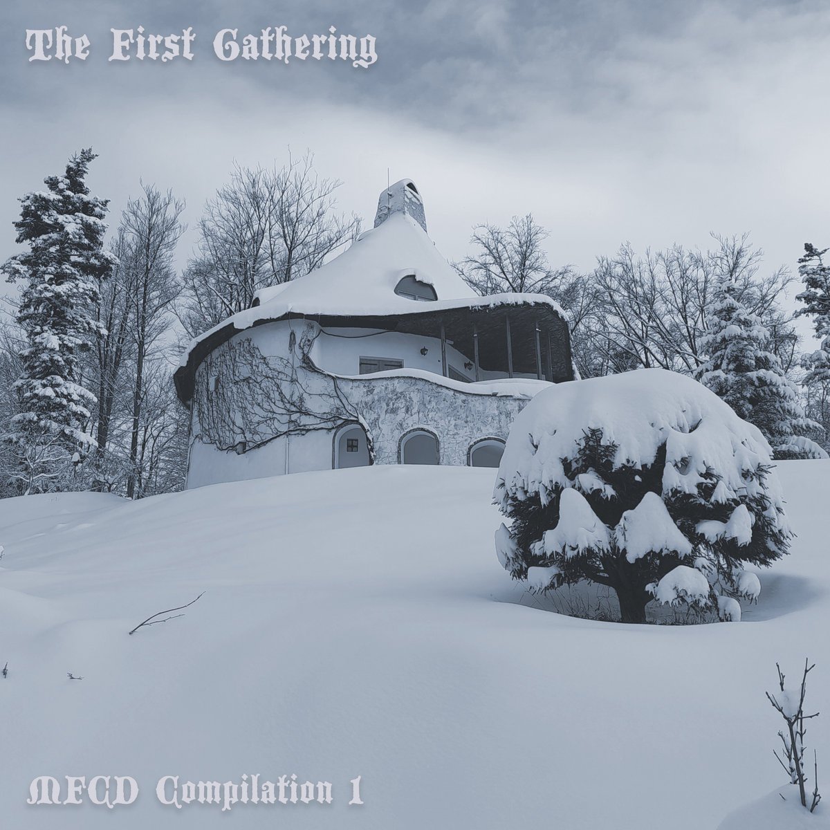 The First Gathering