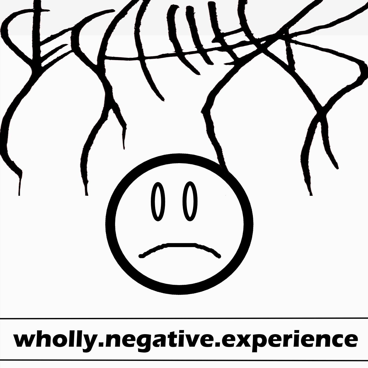 wholly.negative.experience