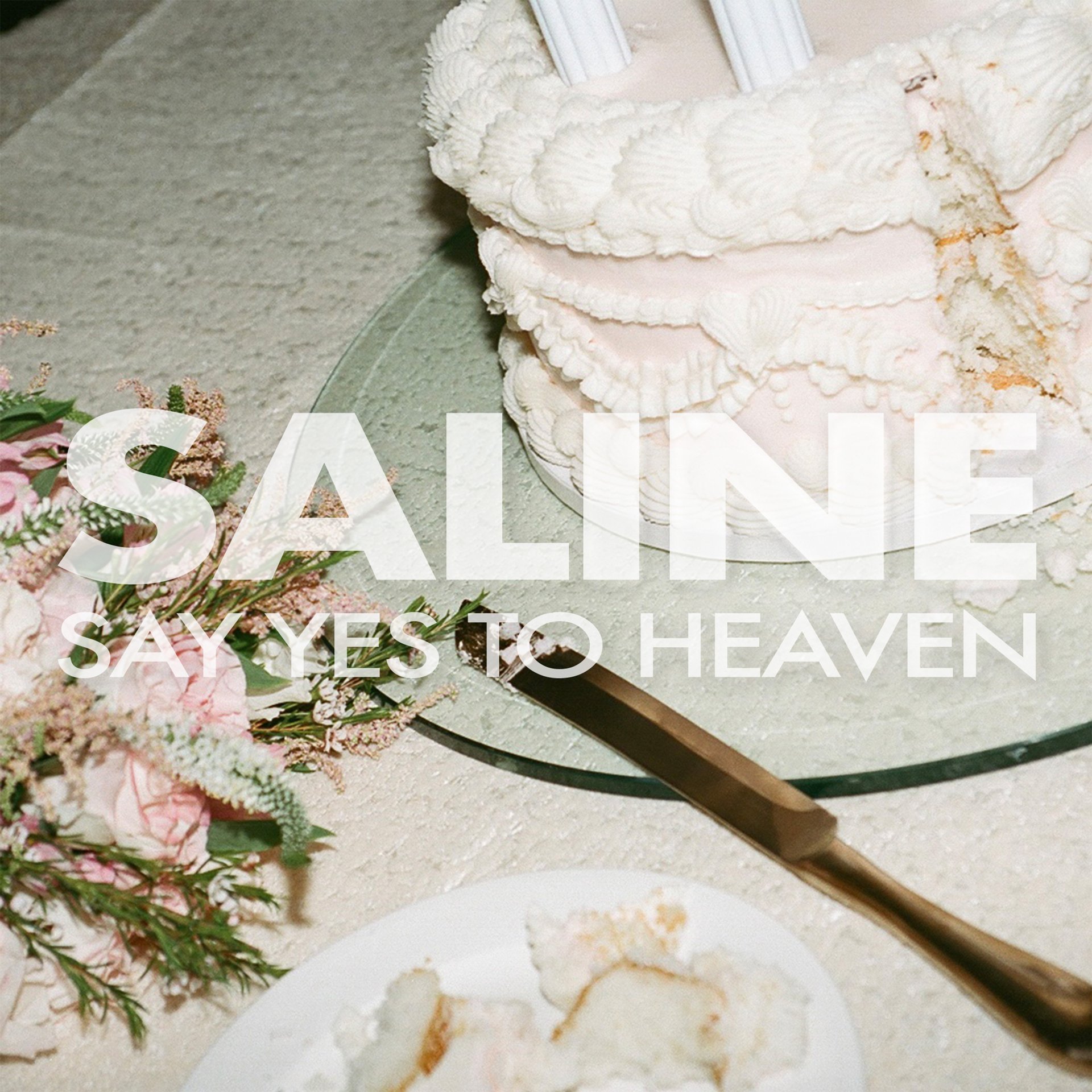 Say Yes to Heaven
