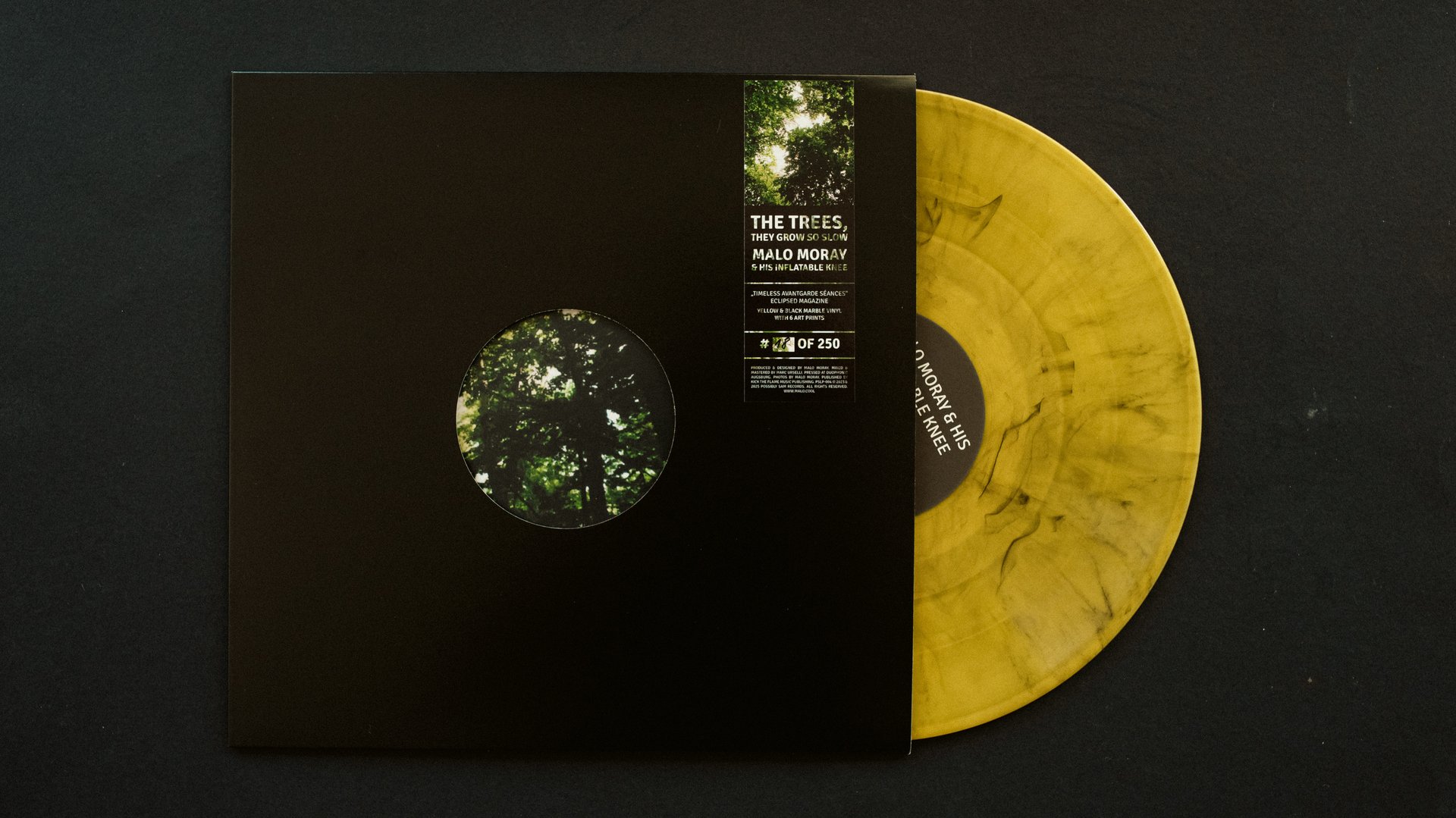 The Trees, They Grow So Slow LIMITED EDITION 12"