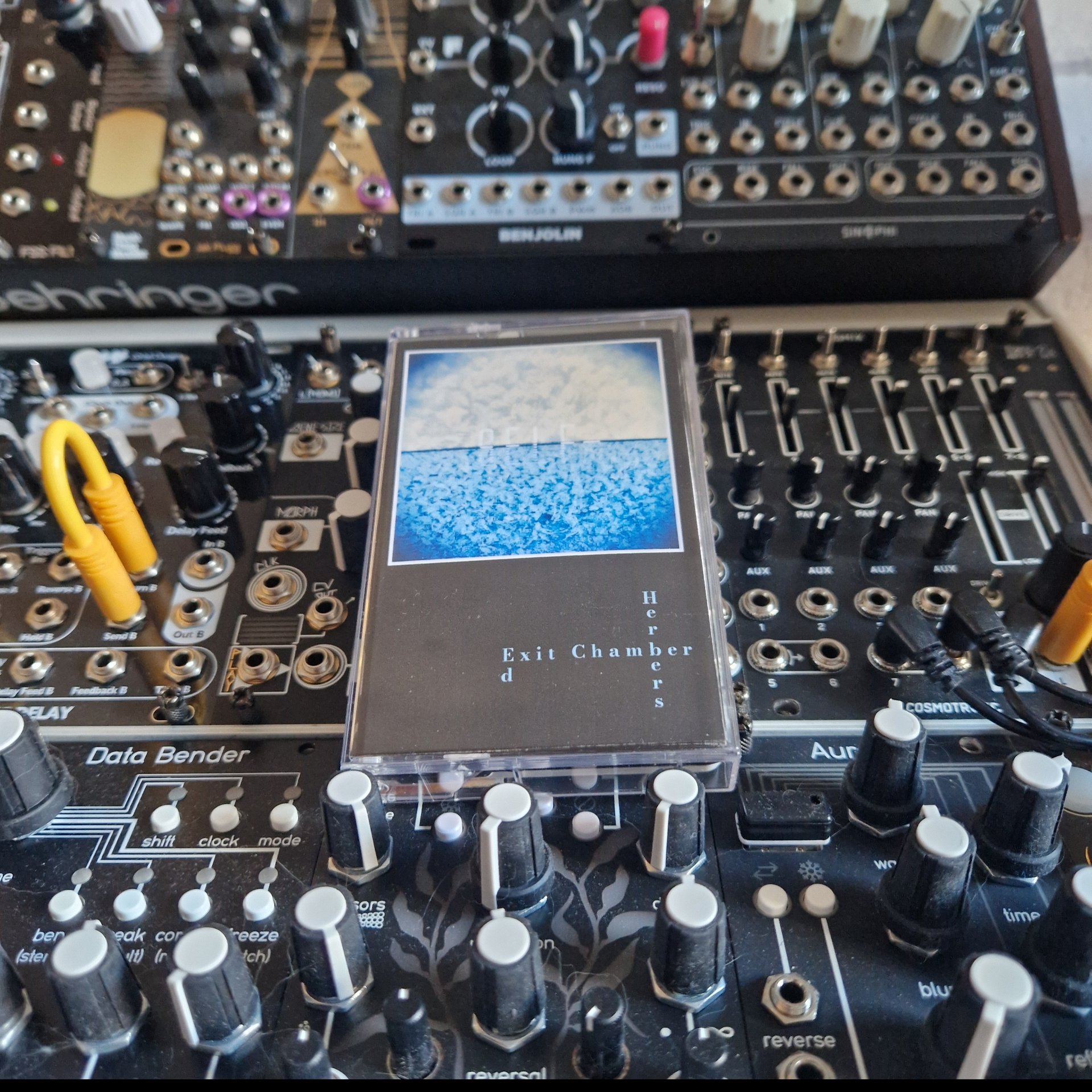 SELF- Limited Edition Cassette