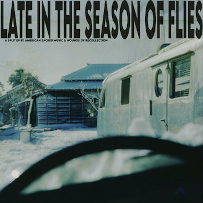 Late In The Season of Flies