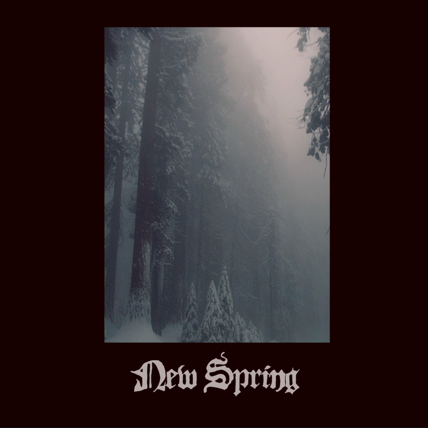 New Spring
