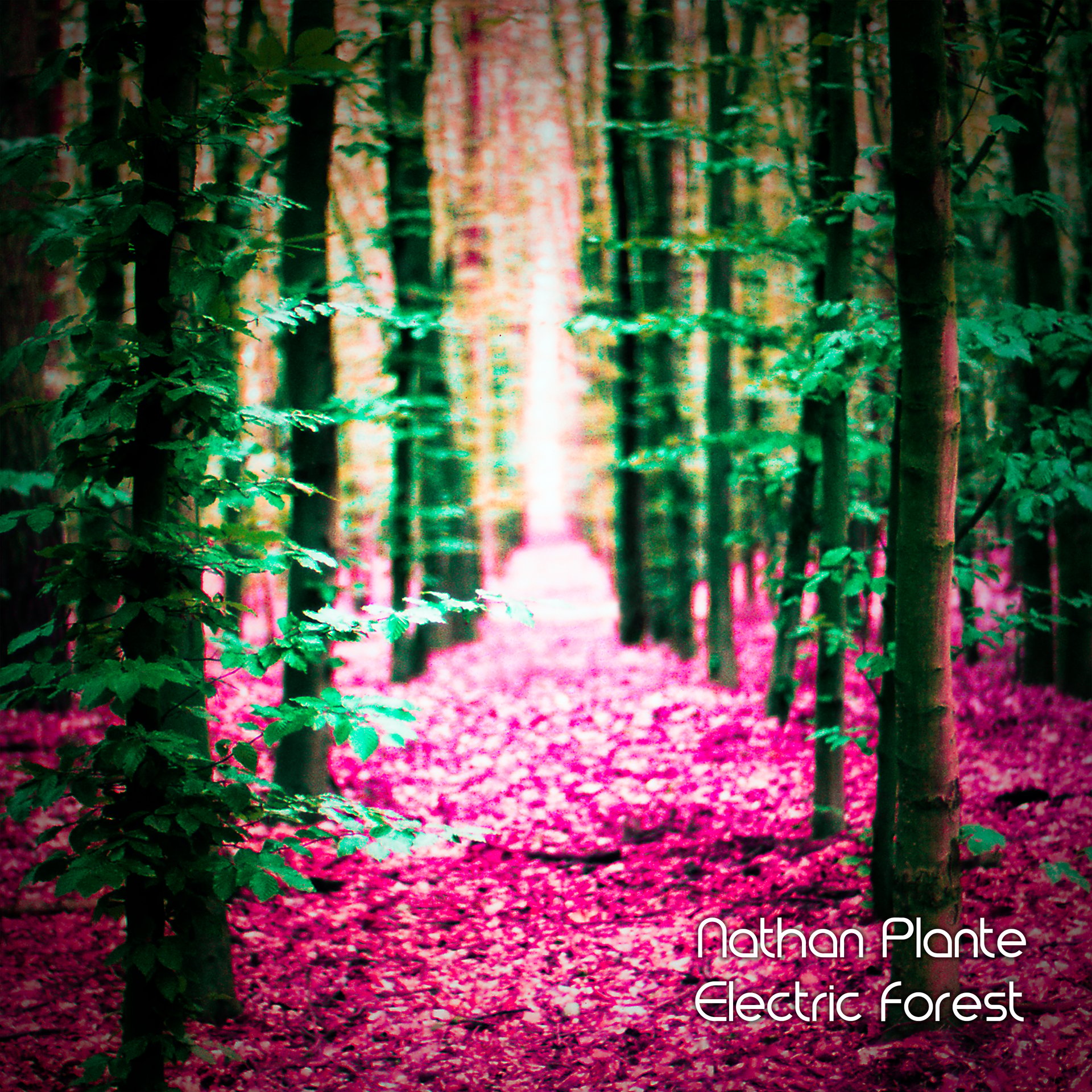 Electric Forest