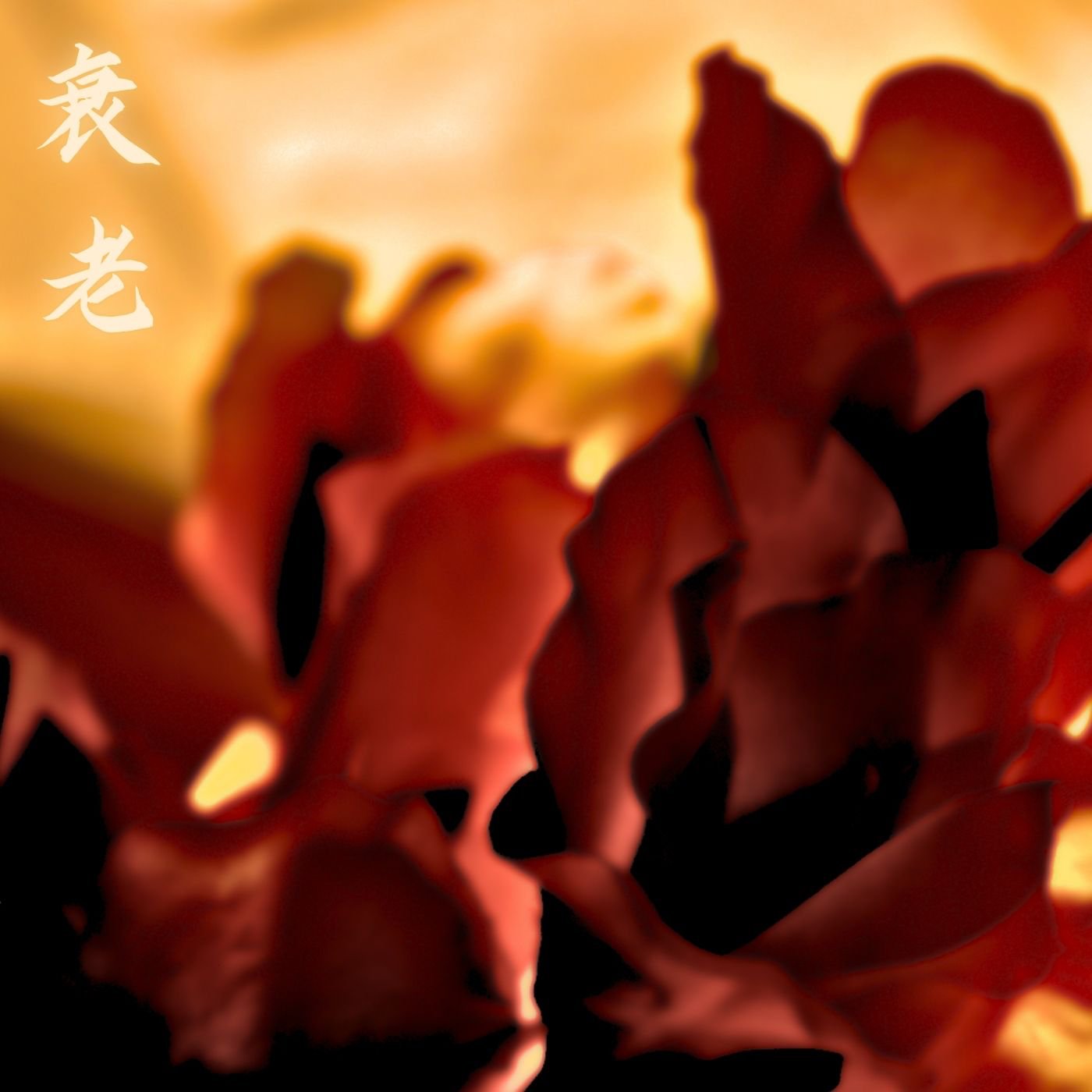 Shuāilǎo 衰老 Volume 2