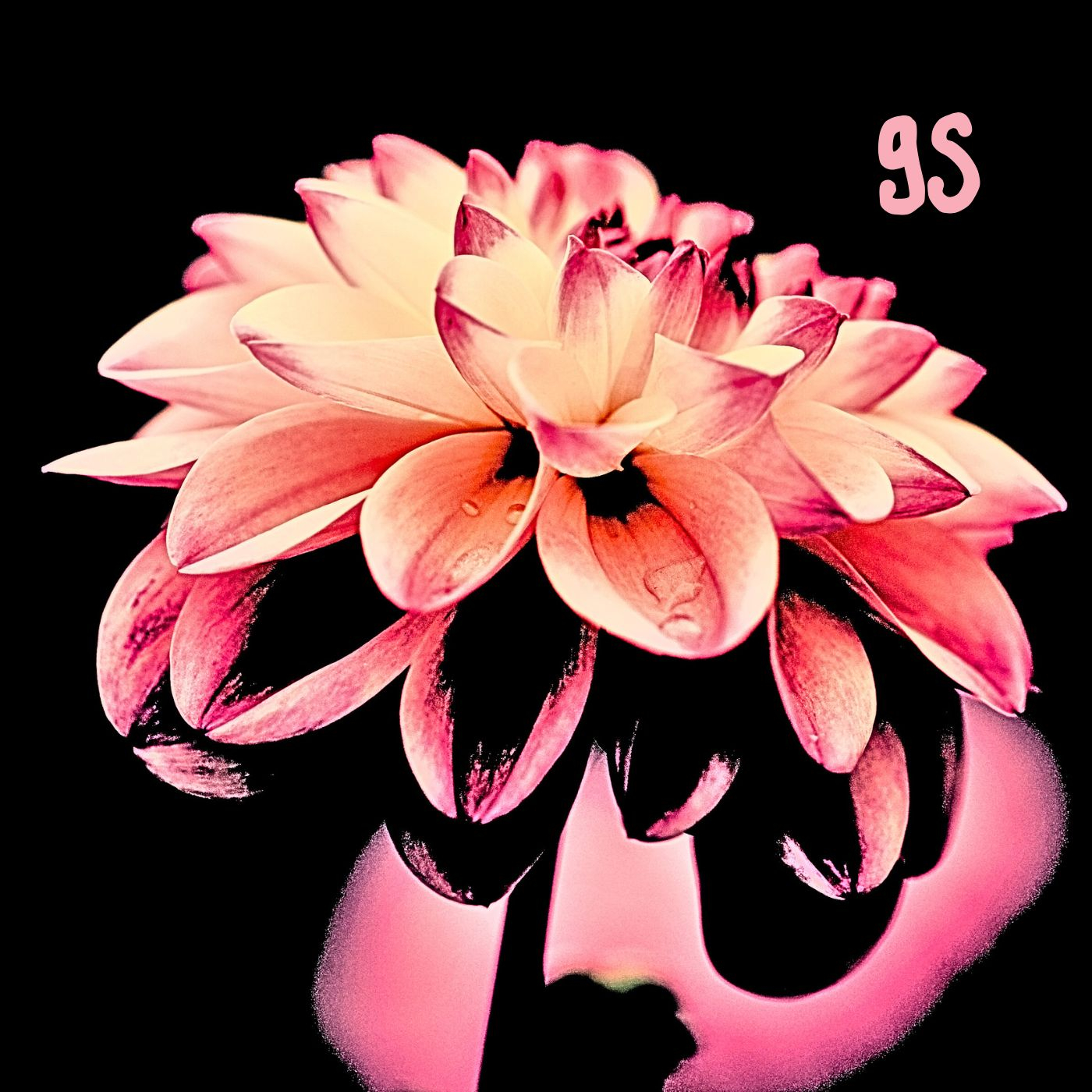 gs
