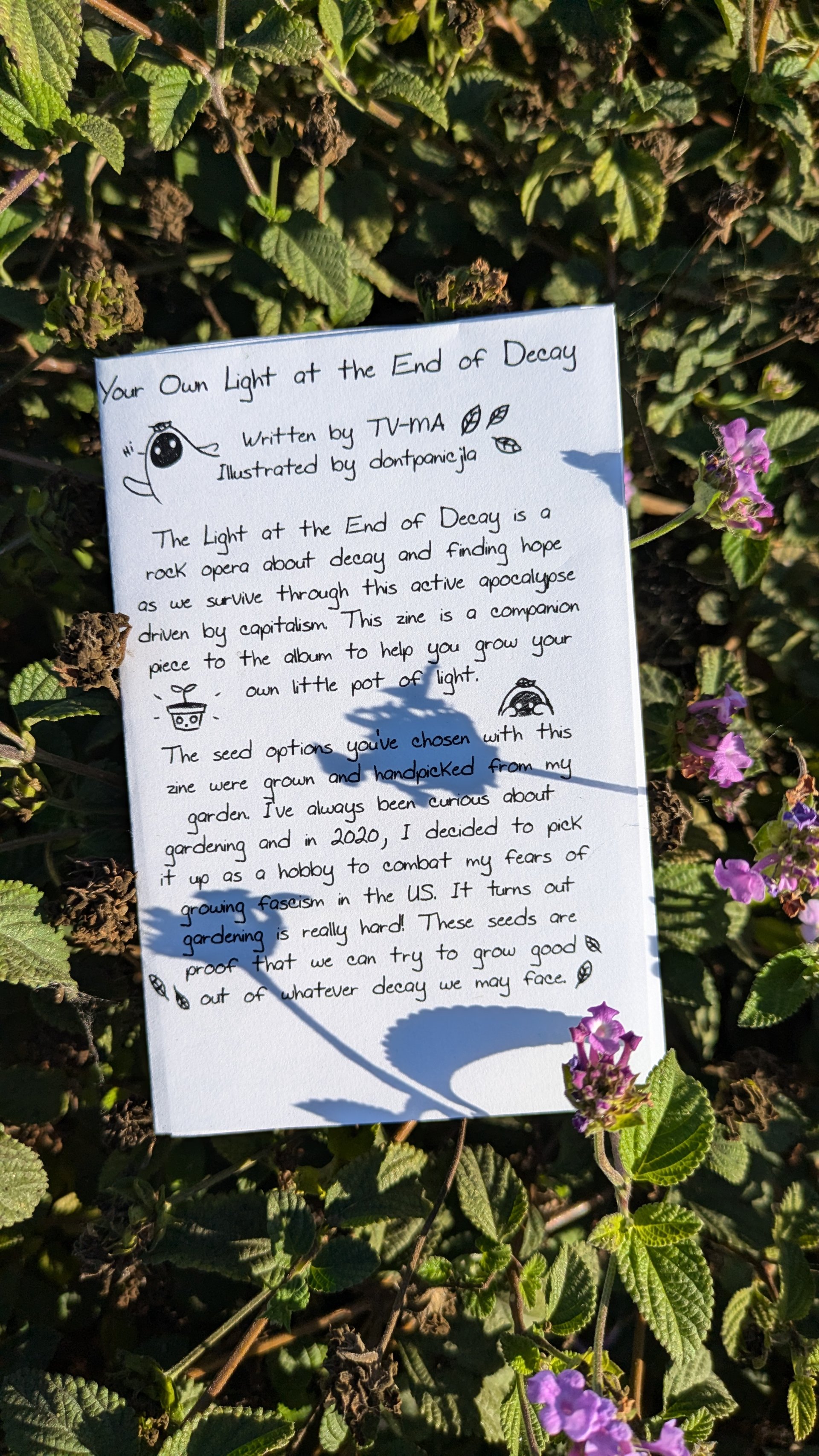 Plant Care Zine & Seeds "Your Own Light at the End of Decay"