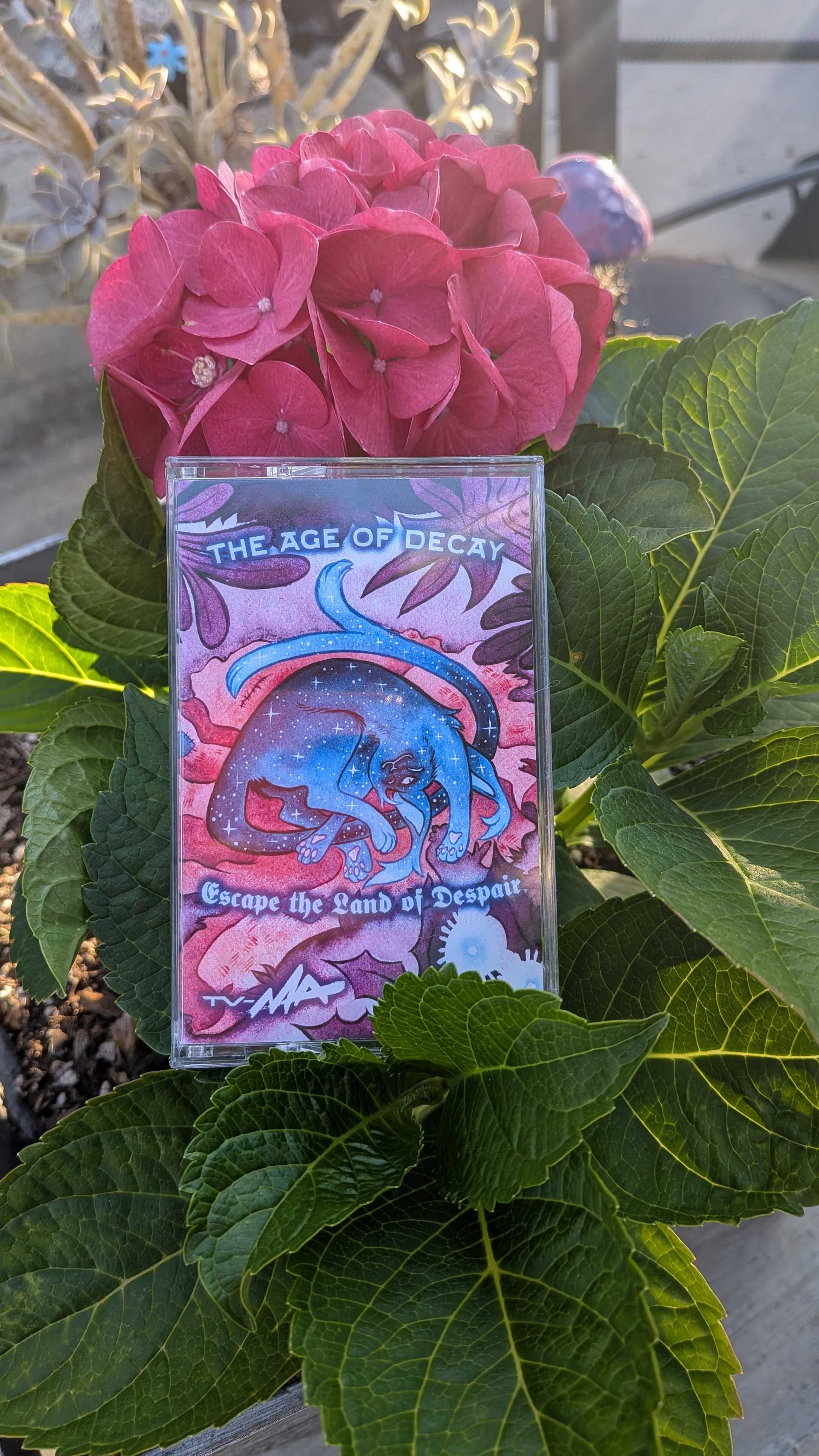 The Age of Decay + Escape the Land of Despair on 1 Cassette!!