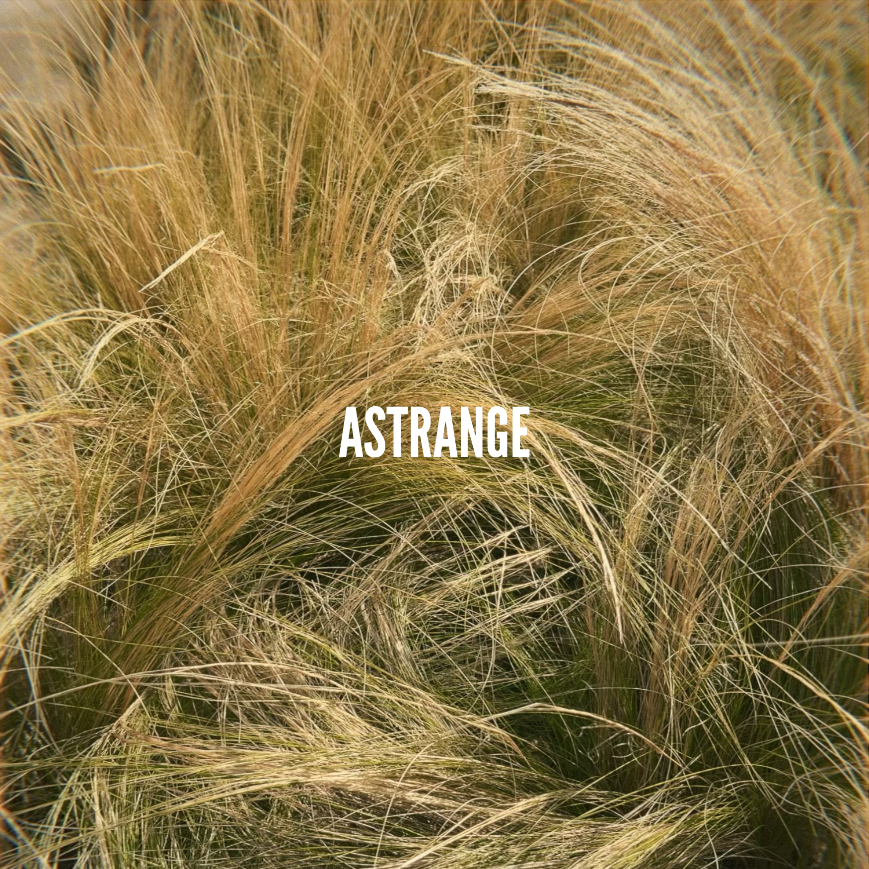 Astrange