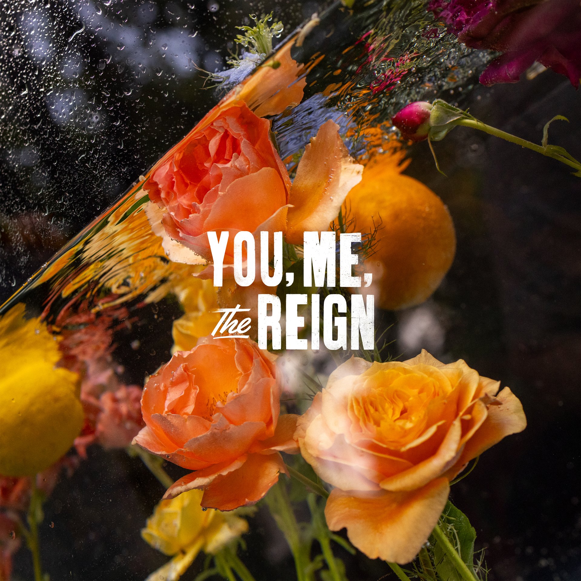 You, Me, the Reign
