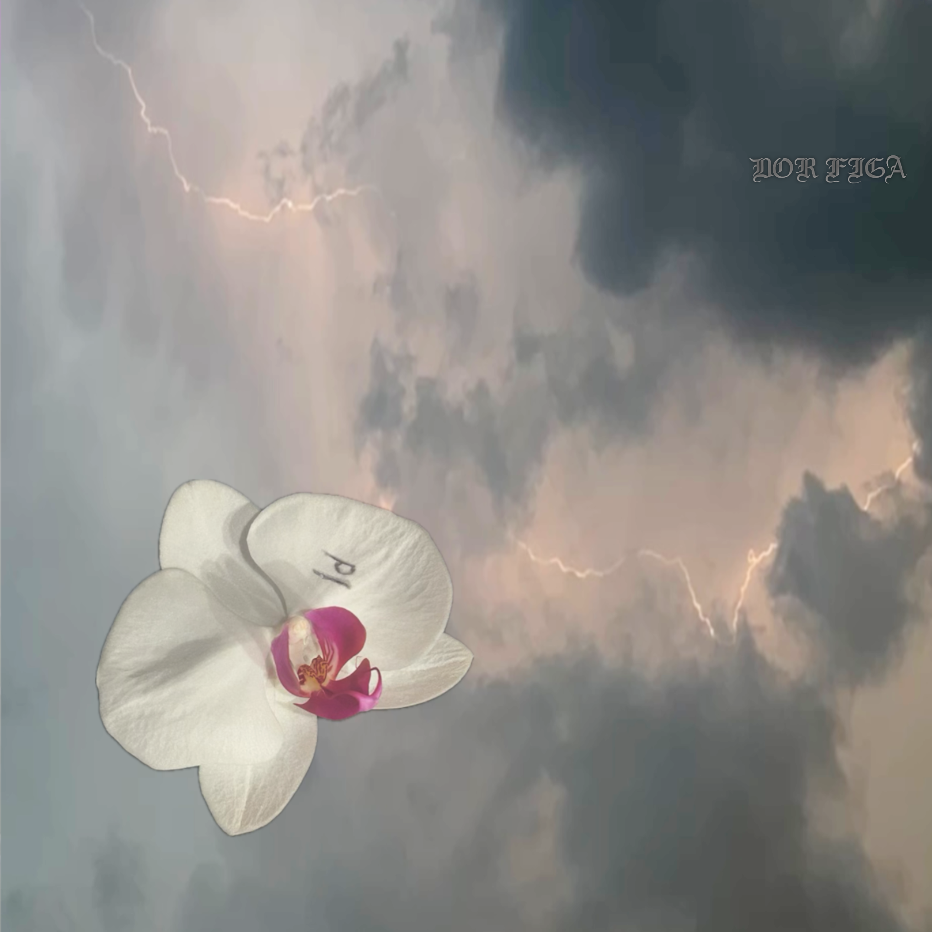 Id
