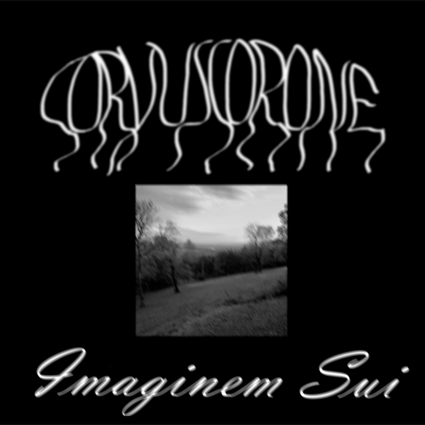 Imaginem Sui