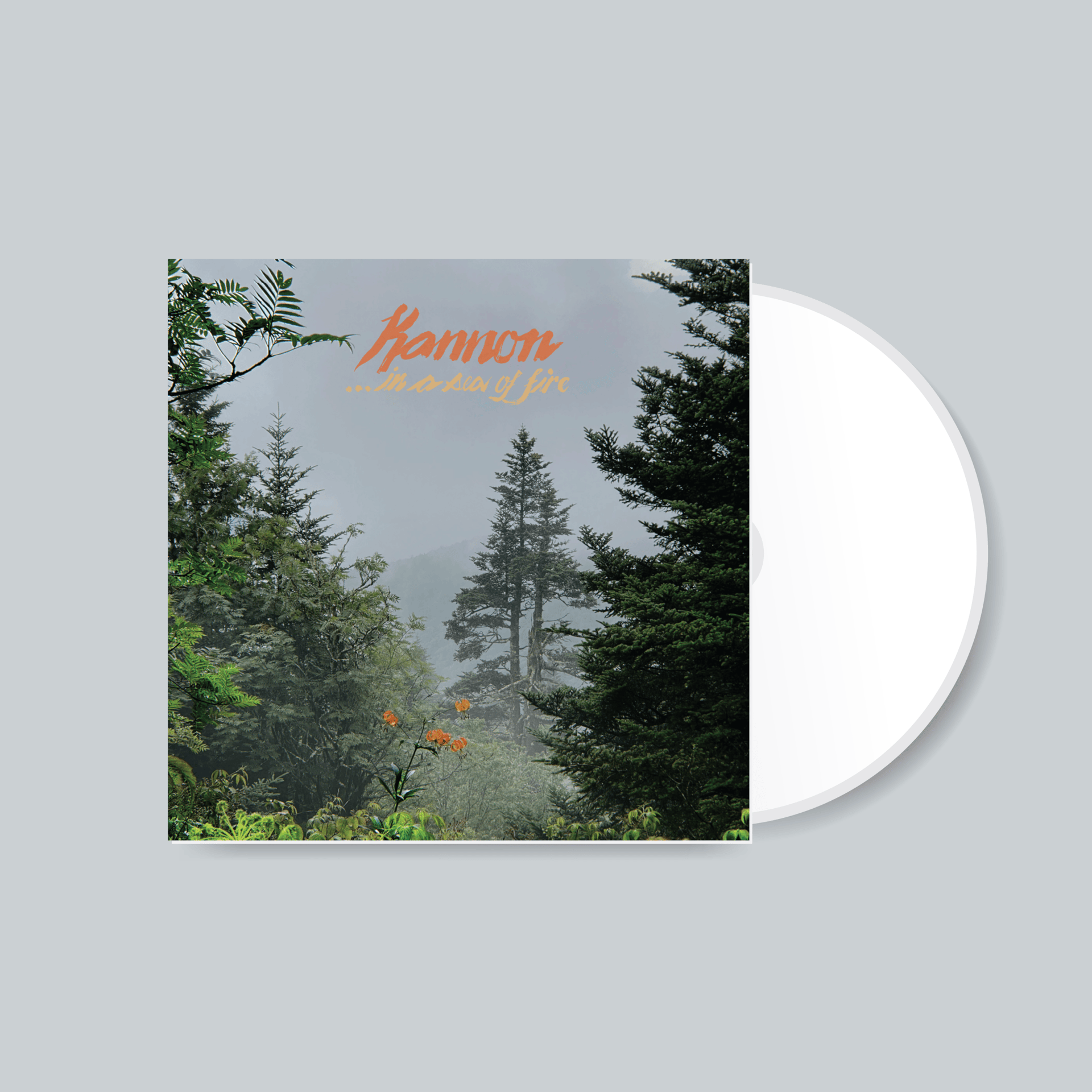 ...in a sea of fire CD