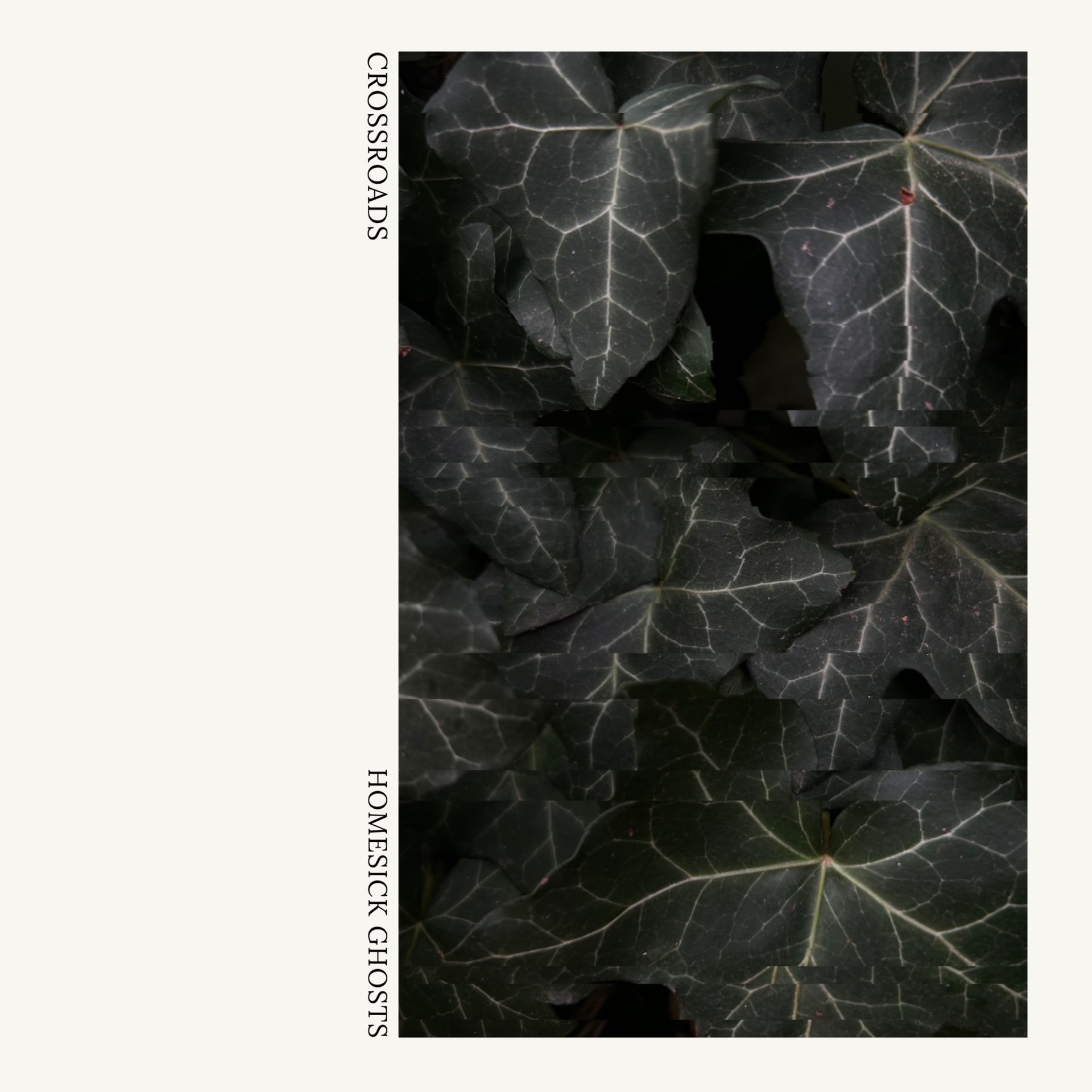 Violets
