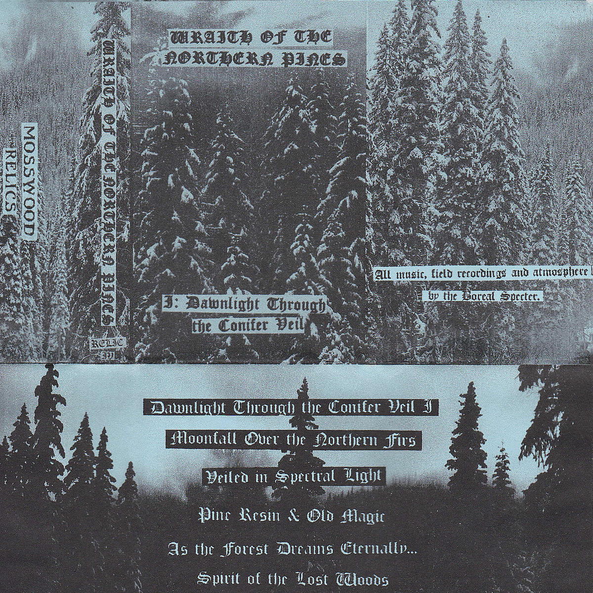 I: Dawnlight Through the Conifer Veil