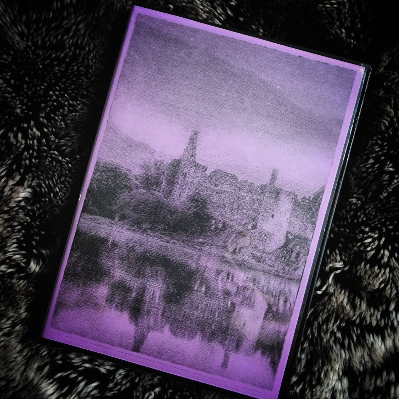 CDr (Dark Lilac)