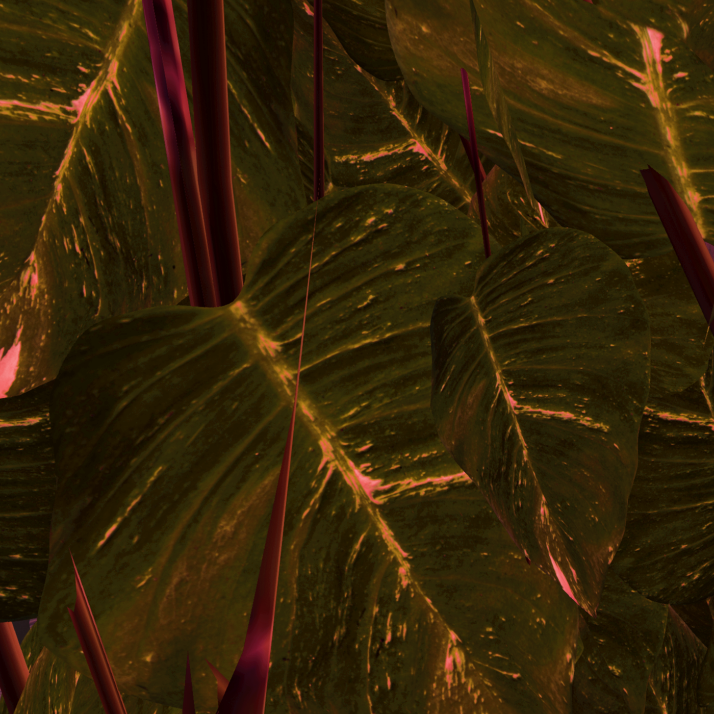 Ocadium Thirty-Nine
