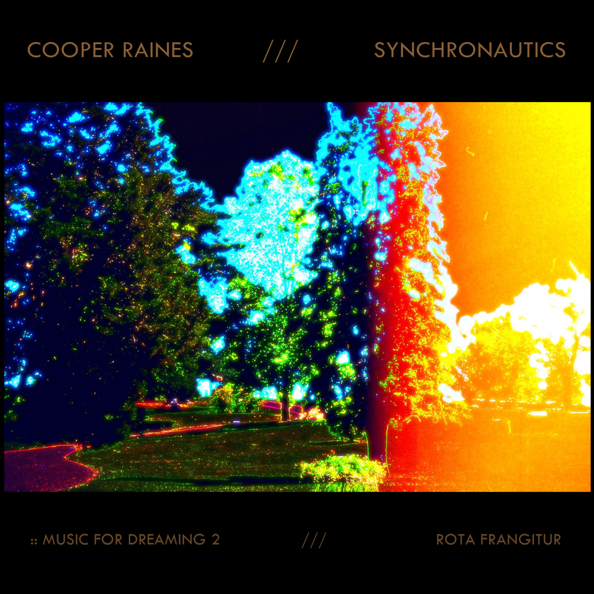 Synchronautics