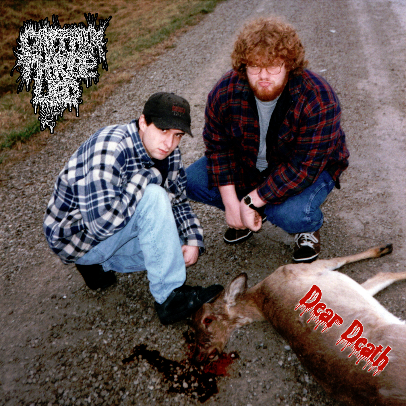 Dear Death