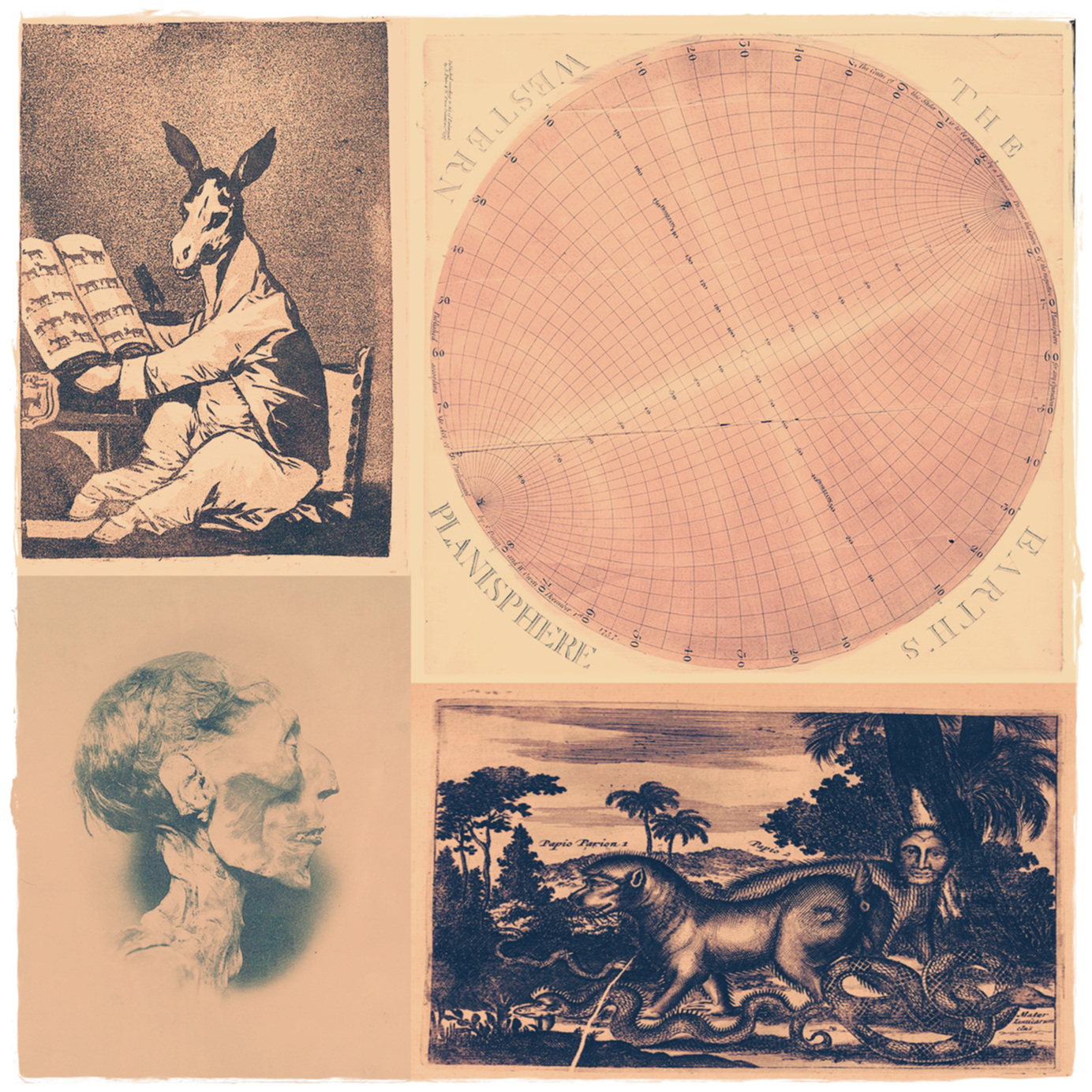 Planisphere