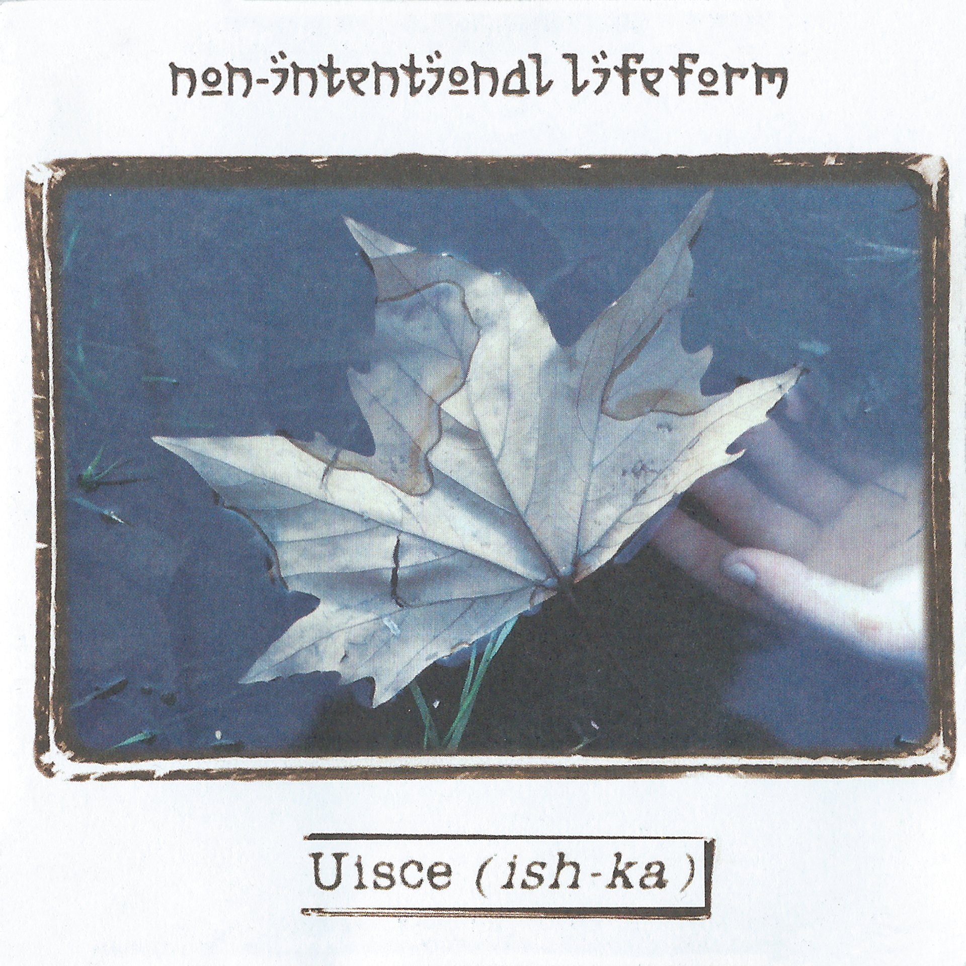 Uisce