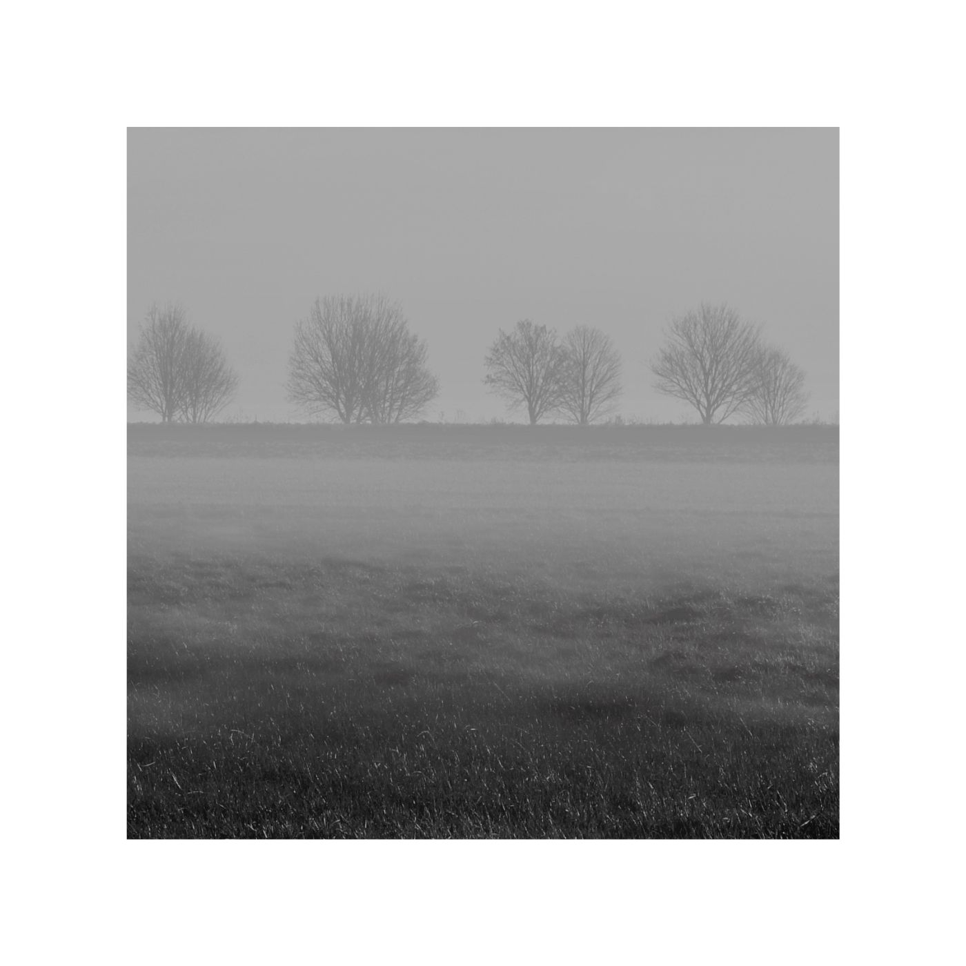 Endless Song 14