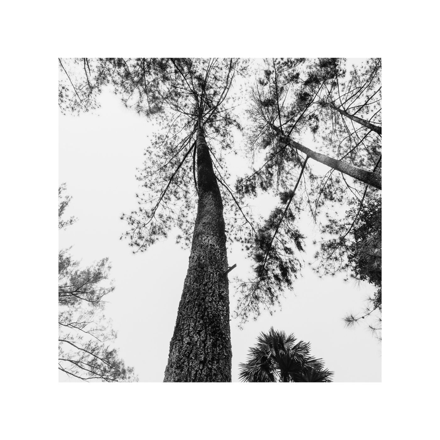 Endless Song 6