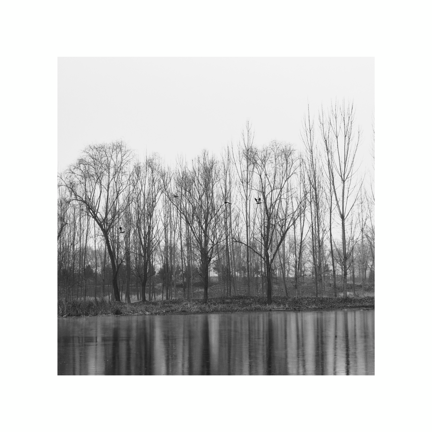 Endless Song 3