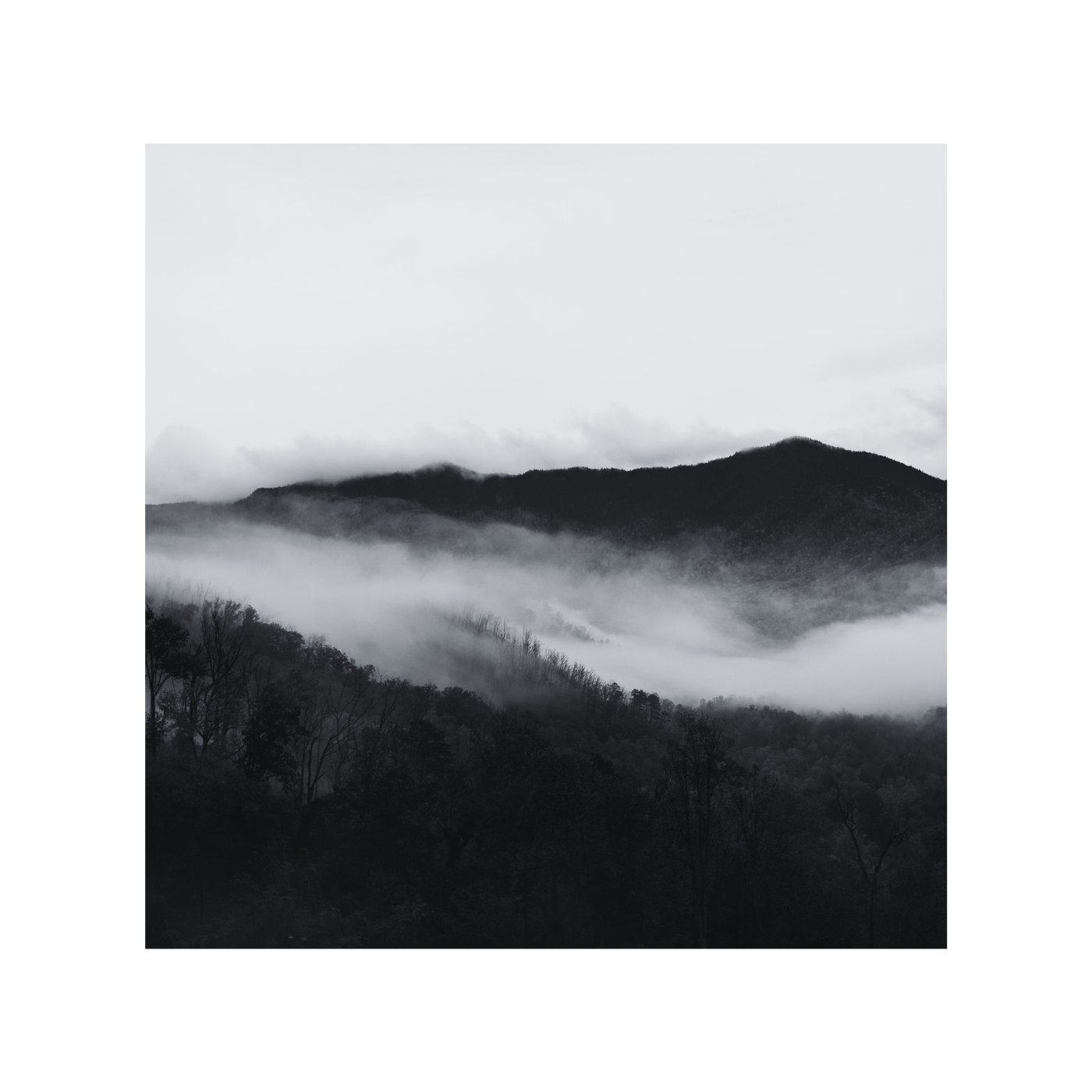 Endless Song 5