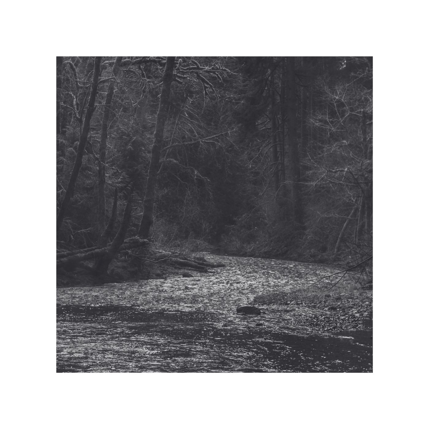 Endless Song 13