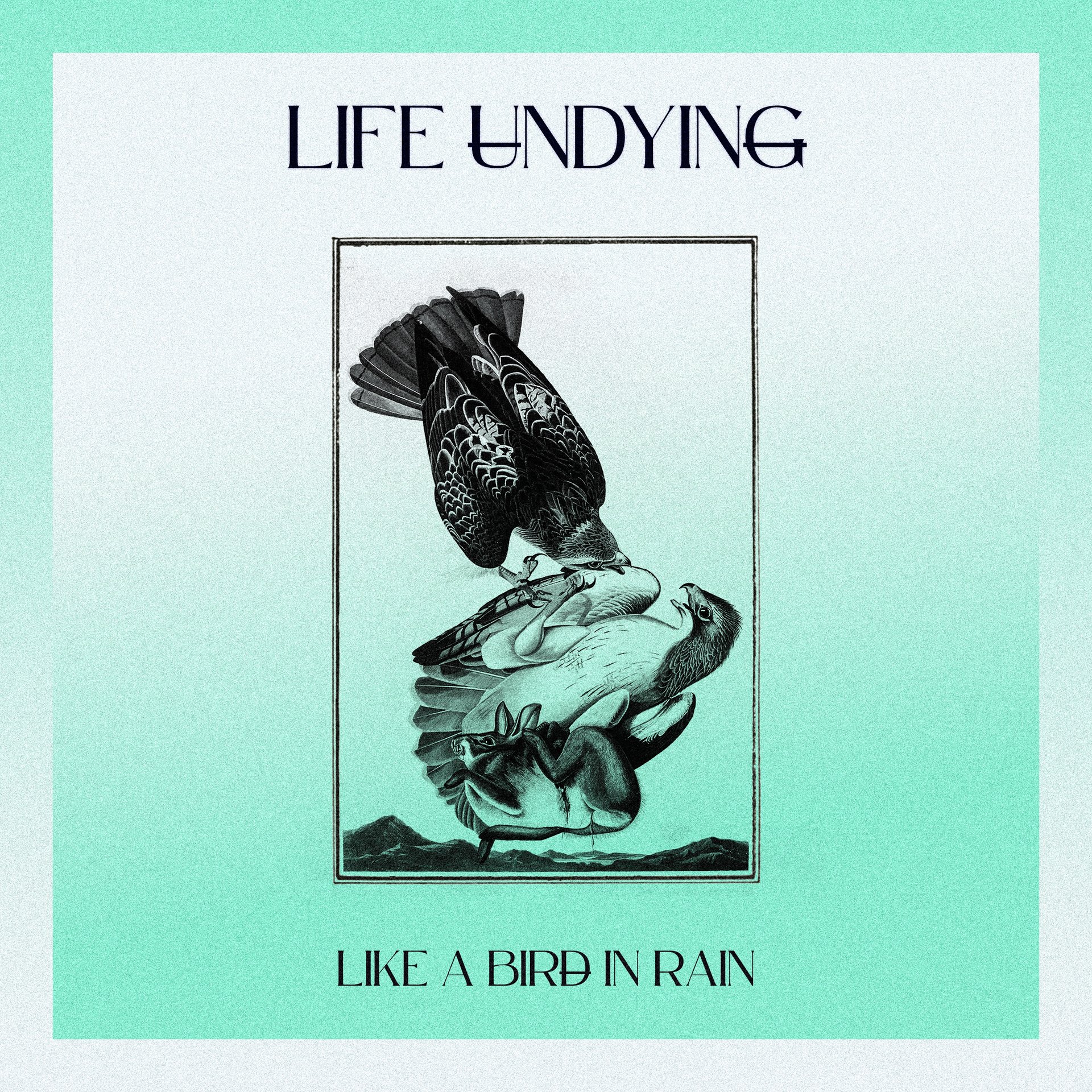 Like A Bird In Rain