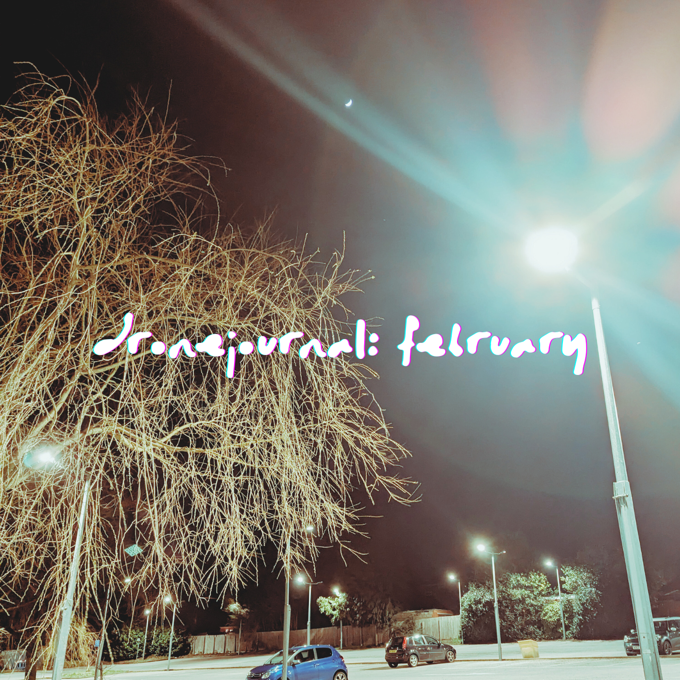 dronejournal: february