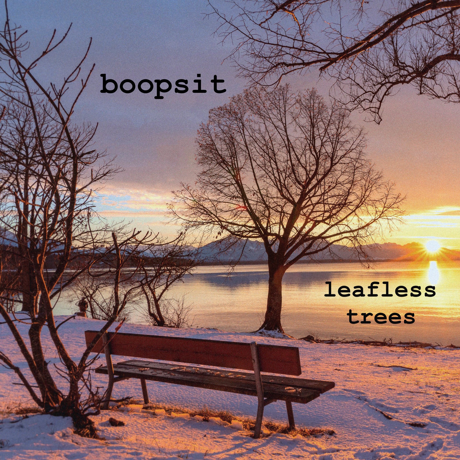 Leafless Trees
